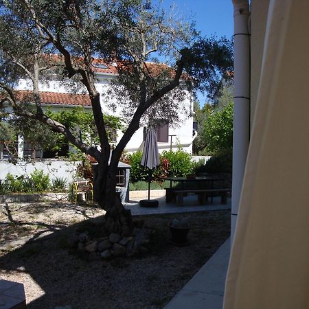 Apartments Olea Pinezići Zewnętrze zdjęcie