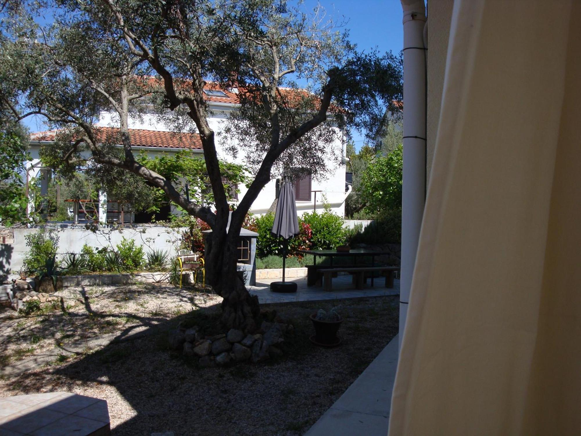 Apartments Olea Pinezići Zewnętrze zdjęcie