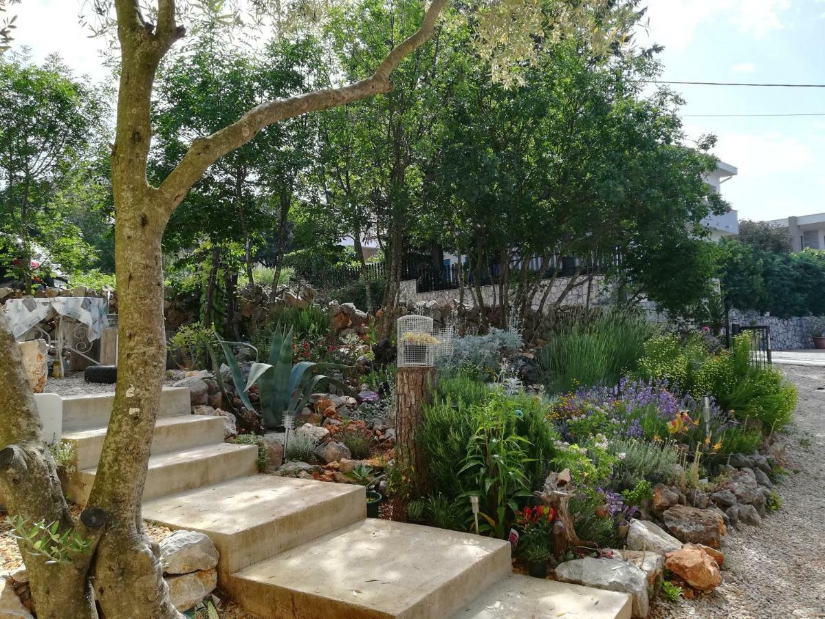 Apartments Olea Pinezići Zewnętrze zdjęcie